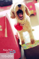 八年级美术课程纲要