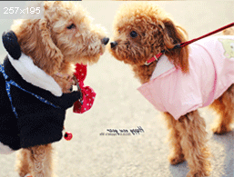 八年级美术课程纲要