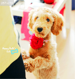 八年级美术课程纲要