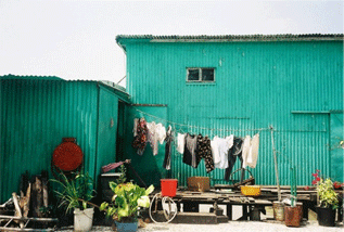 能量色散X荧光光谱仪（XRF）---术语